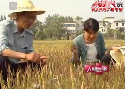 9428cn太阳集团,古天乐代言太阳集团